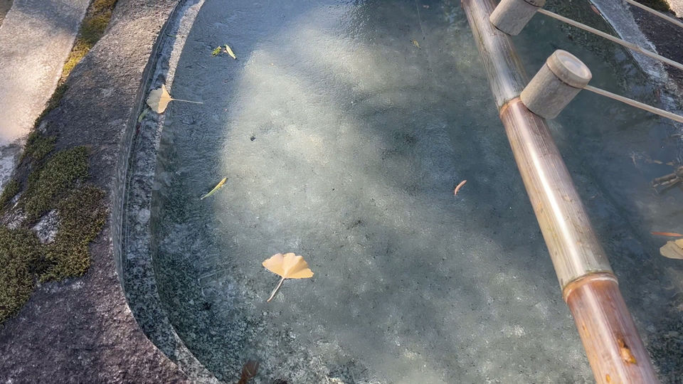 2月下旬 僧伽の風景